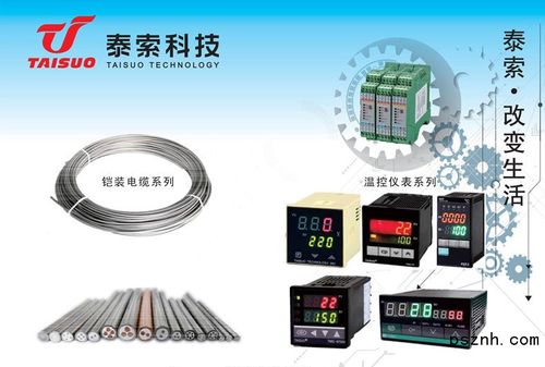 浙江泰索科技 智能感知驅(qū)動(dòng)未來(lái)，物聯(lián)網(wǎng)科技點(diǎn)亮行業(yè)革新